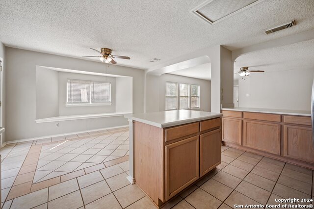 1004 Boxer Pass Drive Property Photo 12