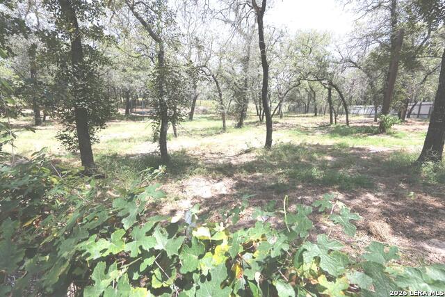 76 & 76b Post Oak Property Photo 52