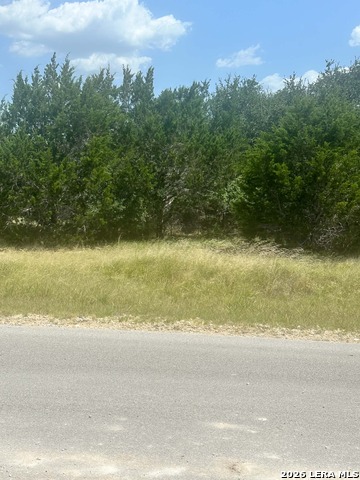 9024 Ashford Property Photo 3