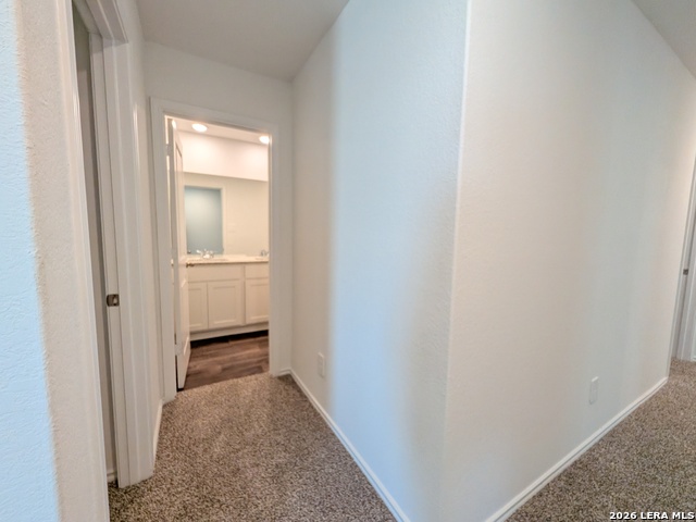 10520 Rainbow Frst Property Photo 18