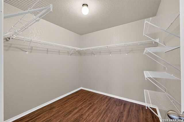237 Cactus Patch Property Photo 23