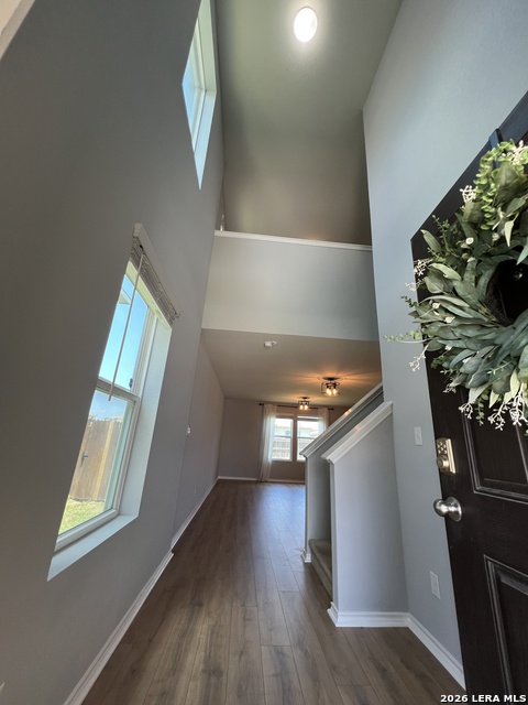 12037 Silver Light Property Photo 5