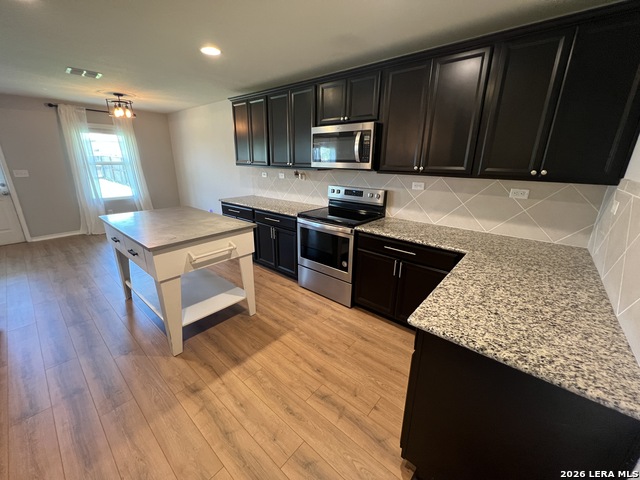 12037 Silver Light Property Photo 15