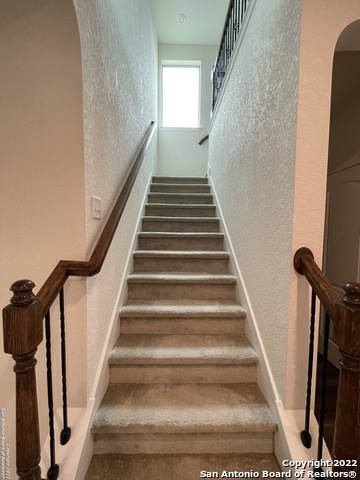 20228 Jove Oak Property Photo 22
