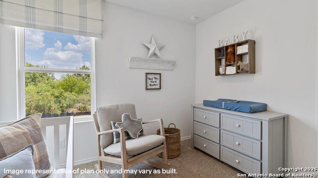 4247 Common Sage Property Photo 31