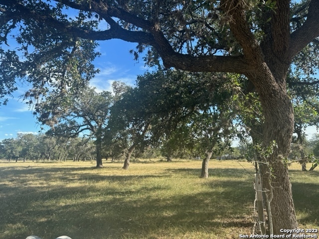 373 Pine Tree Rd Property Photo 18