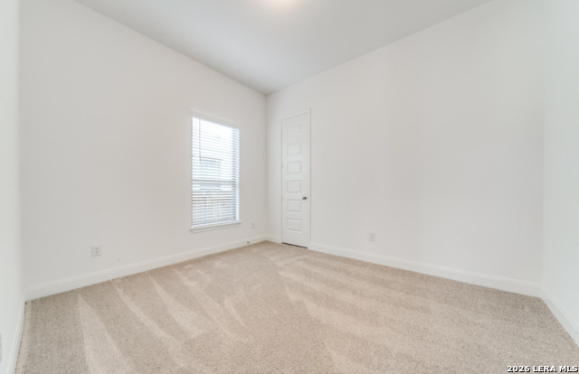 335 Alpine Lks Property Photo 19