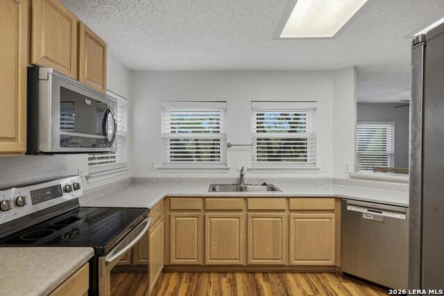 18630 Paloma Pass Property Photo 17
