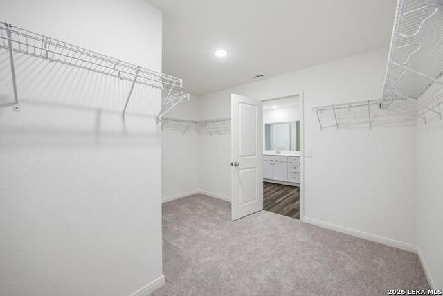 7536 Corral Summit Property Photo 33