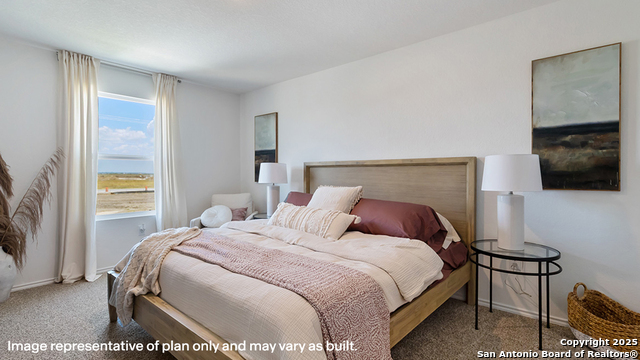 10616 Rainbow Forest Property Photo 29