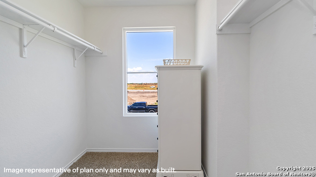 10616 Rainbow Forest Property Photo 33