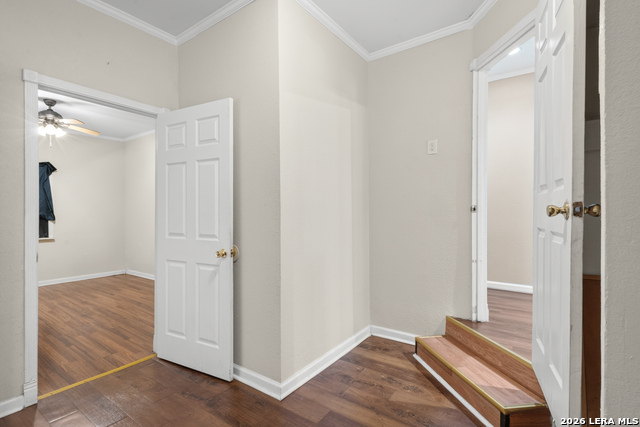4823 Blue Heron St Property Photo 19