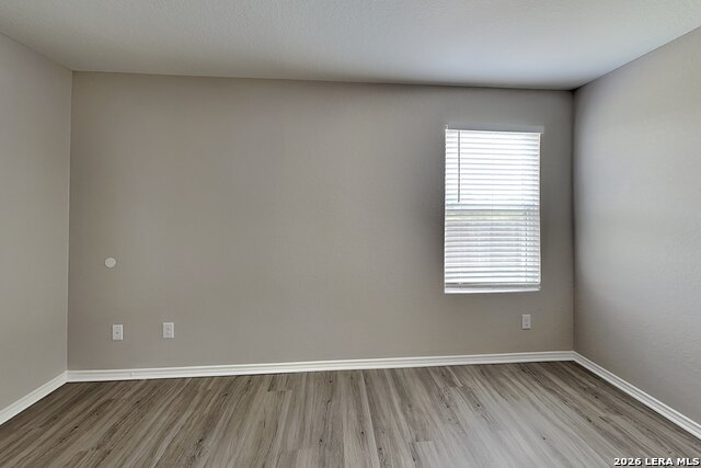 9736 Marbach Brook Property Photo 6