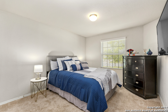 10674 Penelope Way Property Photo 13