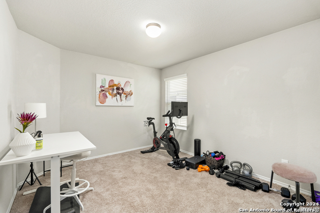 10674 Penelope Way Property Photo 16