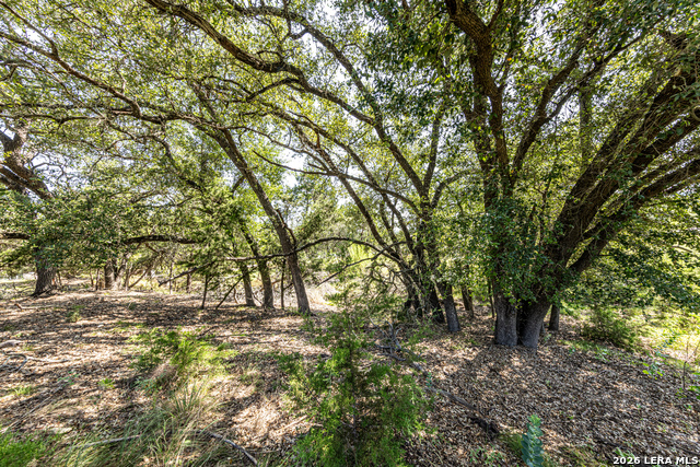 2610 River Way Property Photo 3