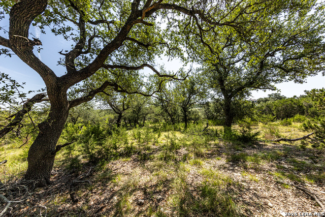 2610 River Way Property Photo 4