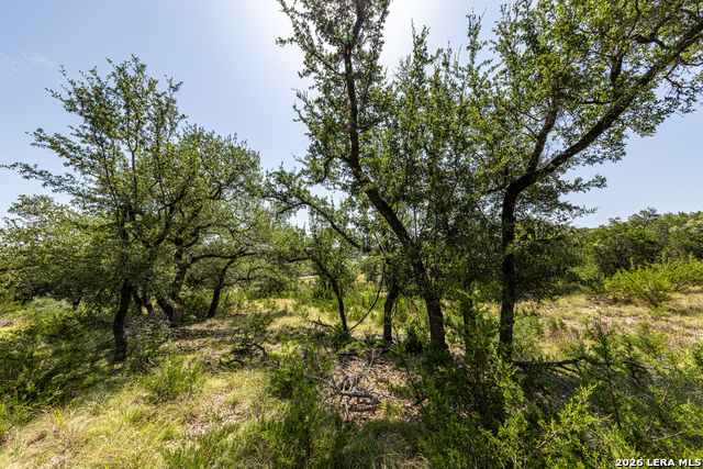 2610 River Way Property Photo 9