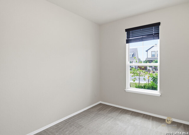 11282 Blue Feather Property Photo 17