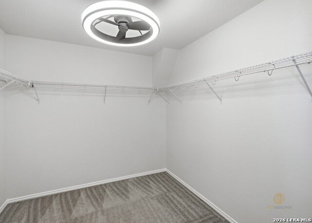 11282 Blue Feather Property Photo 26