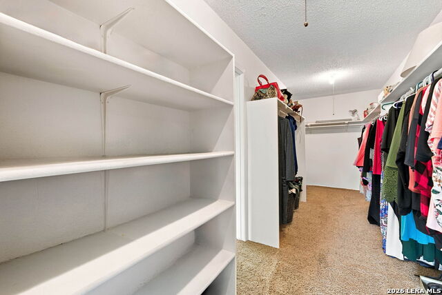 8107 Sunshine Trail Property Photo 14