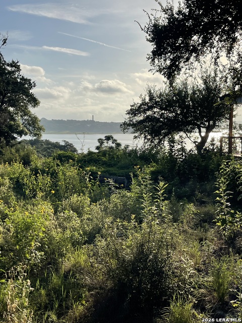 2111 Lakeview Property Photo 1