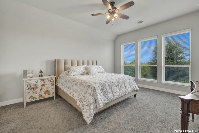 3121 Nister Property Photo 20