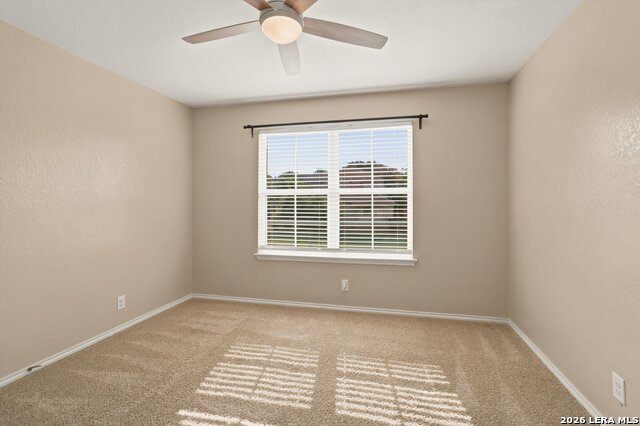 8106 Chestnut Blue Dr Property Photo 20