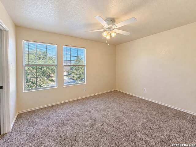 9119 Beech Grv Property Photo 8