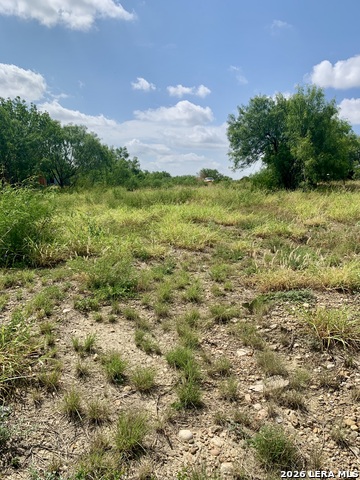 000 Wagon Wheel Property Photo 4