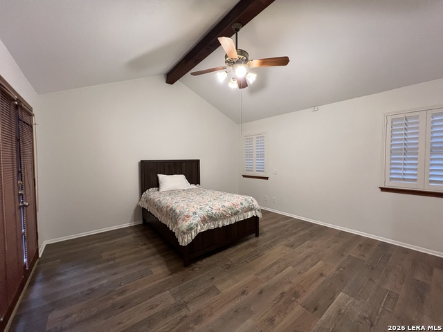 4307 Shavano Woods St Property Photo 33