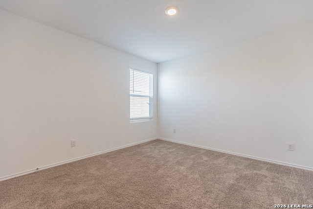 5319 Hornbeck Property Photo 25