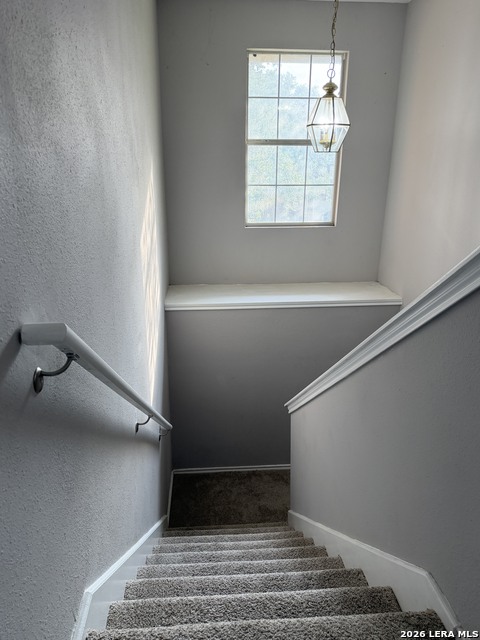 13119 Forum Rd Property Photo 21