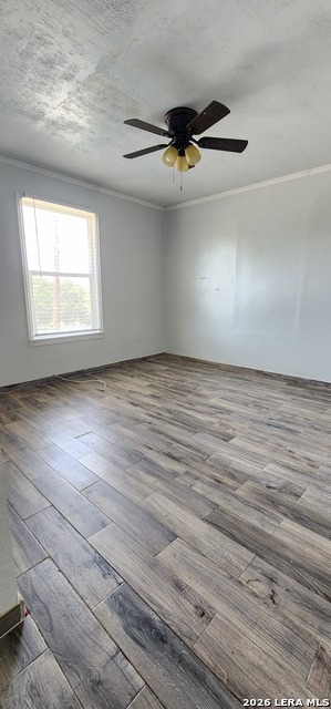 724 Progreso Property Photo 11