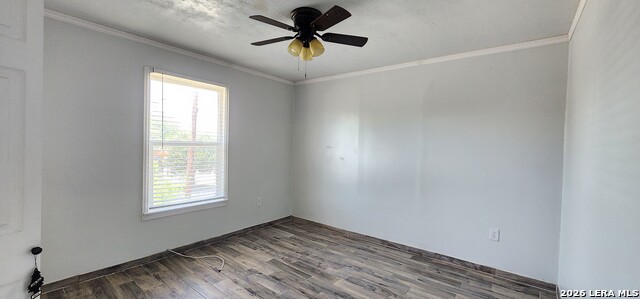 724 Progreso Property Photo 12