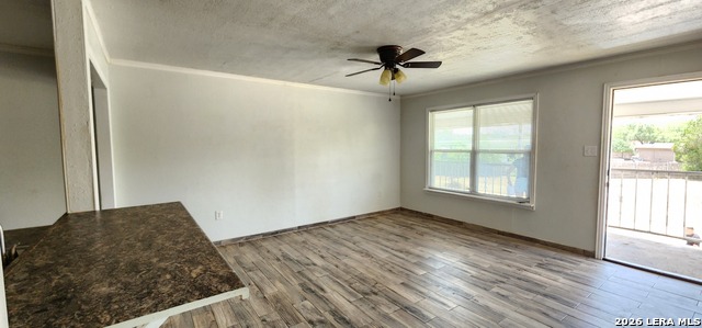 724 Progreso Property Photo 17