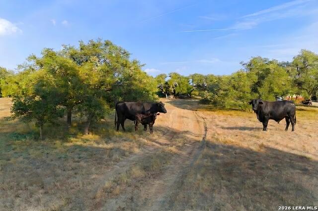 22050 Hanging Oak Property Photo 49