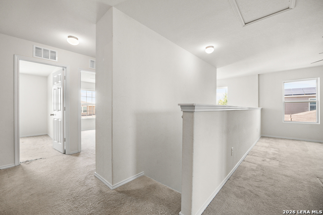12033 Silver Lining Property Photo 10