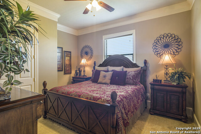 11668 Grandview Dr Property Photo 22