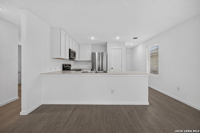 8026 Biggio Ln Property Photo 3