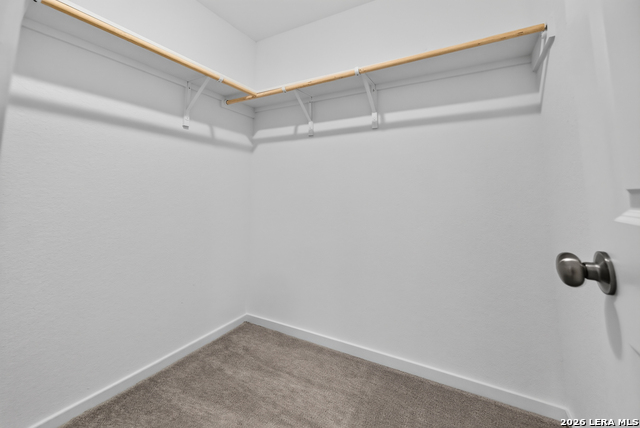 8026 Biggio Ln Property Photo 14