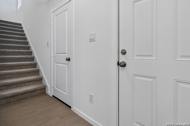 8026 Biggio Ln Property Photo 17