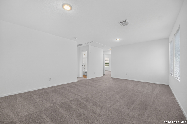 8026 Biggio Ln Property Photo 18