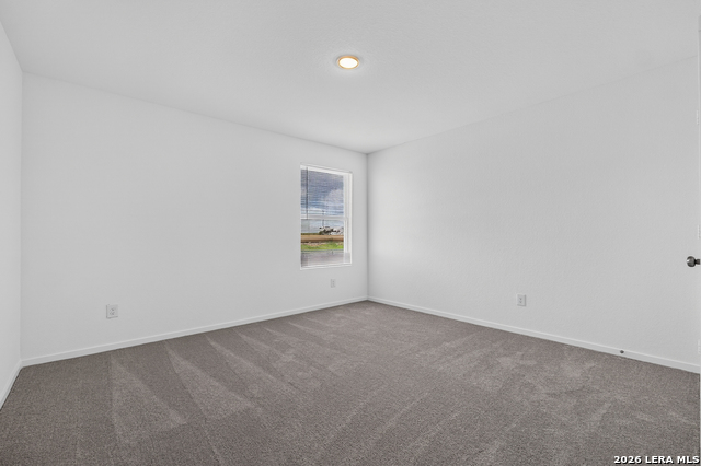 8026 Biggio Ln Property Photo 22