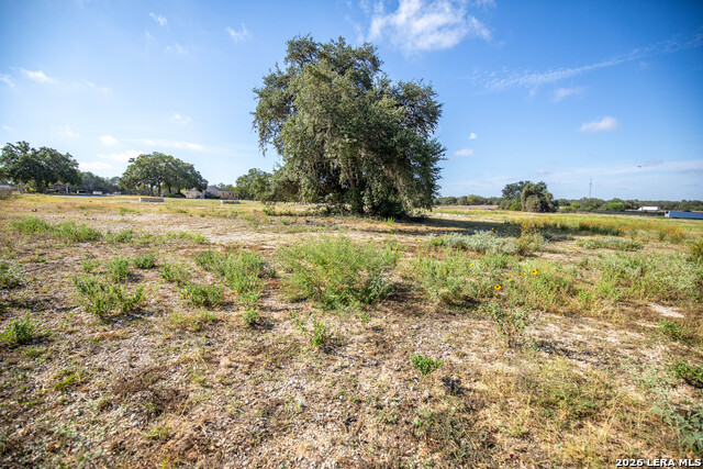 23383 Mathis Property Photo 18