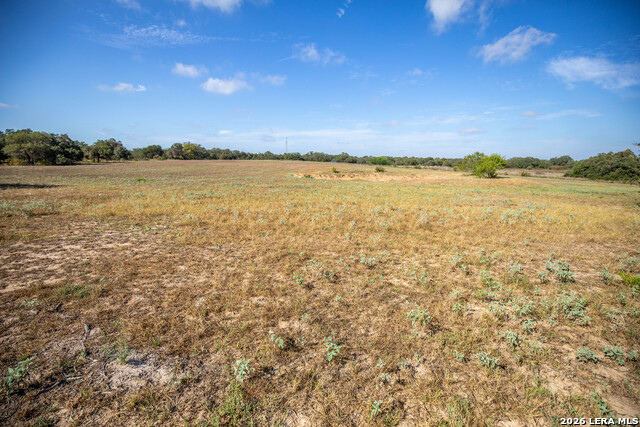 23383 Mathis Property Photo 29