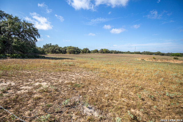 23383 Mathis Property Photo 33