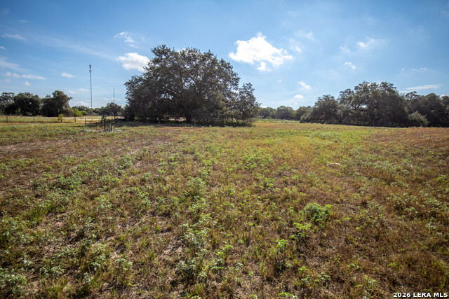 23383 Mathis Property Photo 38