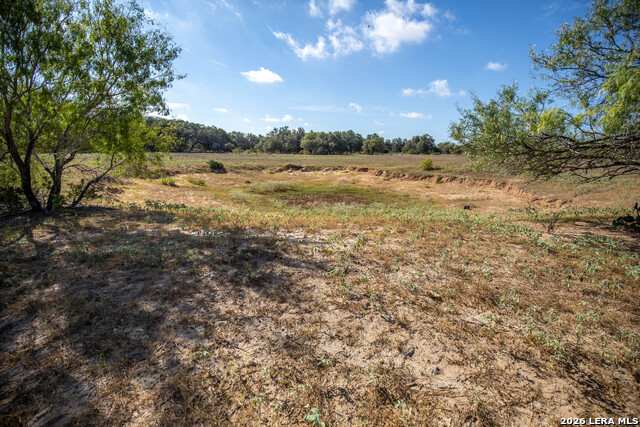 23383 Mathis Property Photo 39