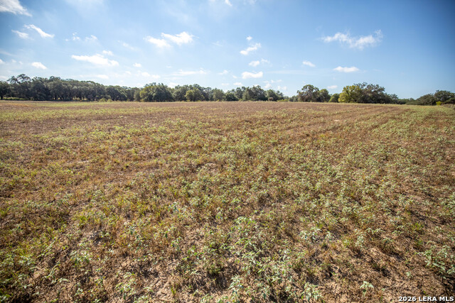 23383 Mathis Property Photo 42